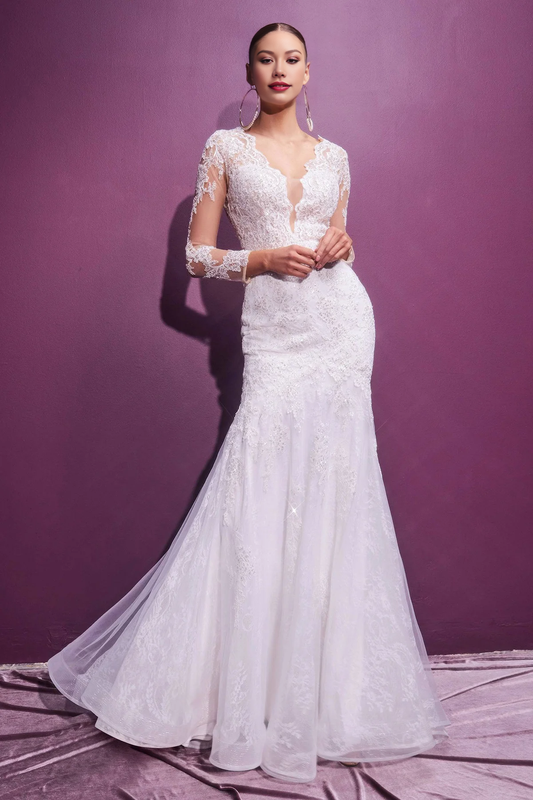 Elegant Lace Long Sleeve Wedding Gown V-neck Wedding Dresses