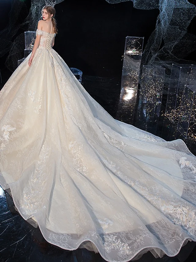 Ball Gown Wedding Dresses Off Shoulder Cathedral Train Tulle Lace Over Satin Sleeveless Formal Elegant with Crystals