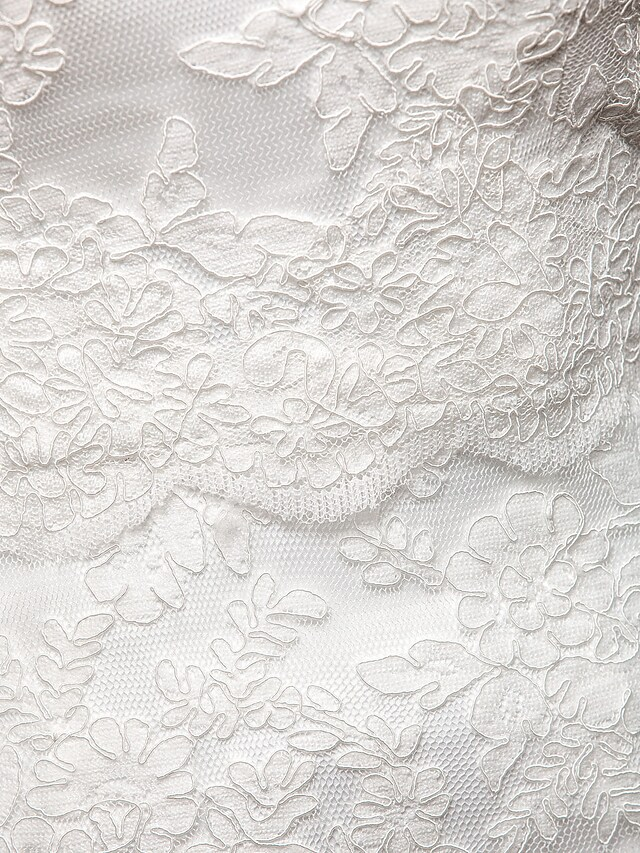 Wedding Dresses Halter Neck Lace Regular Straps Open Back with Beading Flower