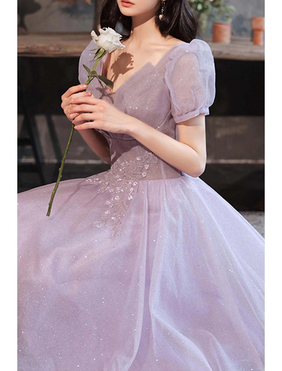 A-Line Prom Dresses Sparkle & Shine Dress Prom Valentine's Day Floor Length Short Sleeve V Neck Tulle