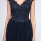 A-Line Little Black Prom Dress Wedding Guest Floor Length Sleeveless V Neck Tulle