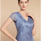 A-Line Mother of the Bride Dress Wedding Guest Elegant Petite V Neck Knee Length Chiffon Lace Short Sleeve with Ruching