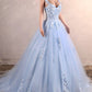 Ball Gown Quinceanera Dresses Elegant Dress Quinceanera Sweet 16 Court Train Sleeveless Sweetheart African American Tulle Cowl Back