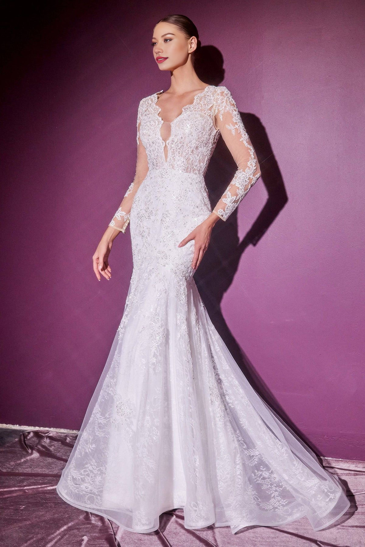 Elegant Lace Long Sleeve Wedding Gown V-neck Wedding Dresses