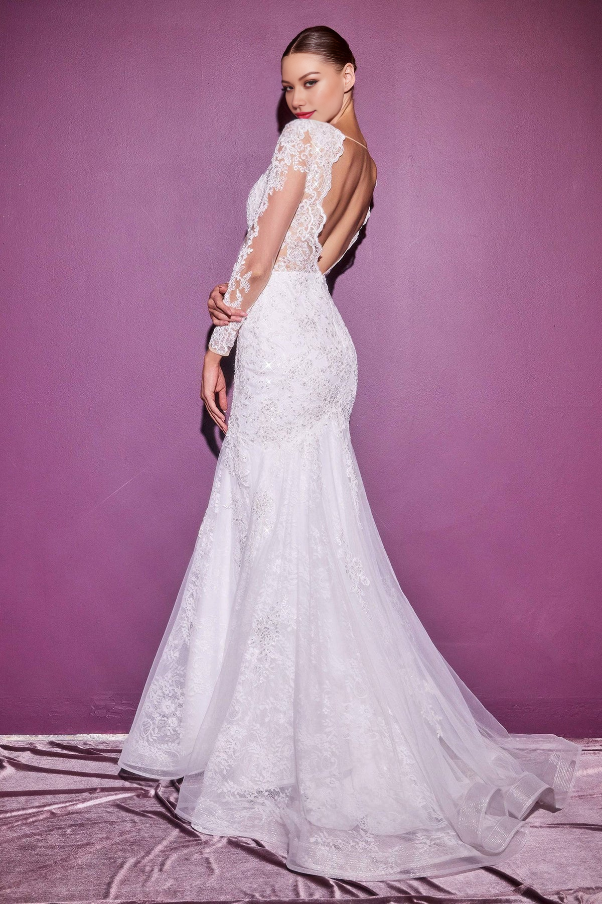 Elegant Lace Long Sleeve Wedding Gown V-neck Wedding Dresses