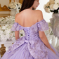 Quinceanera Ball Gown Quinceanera Dress Off Shoulder Long Beautiful