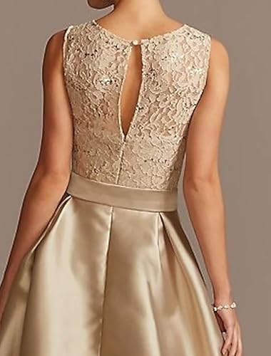 A-line/Princess collar sleeveless pleated lace mother of the bride dress Evening Dresses With Bow
