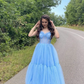Sweetheart A Line Tulle Prom Dress Lovely Homecoming Dress Charming Birthday Party Dress