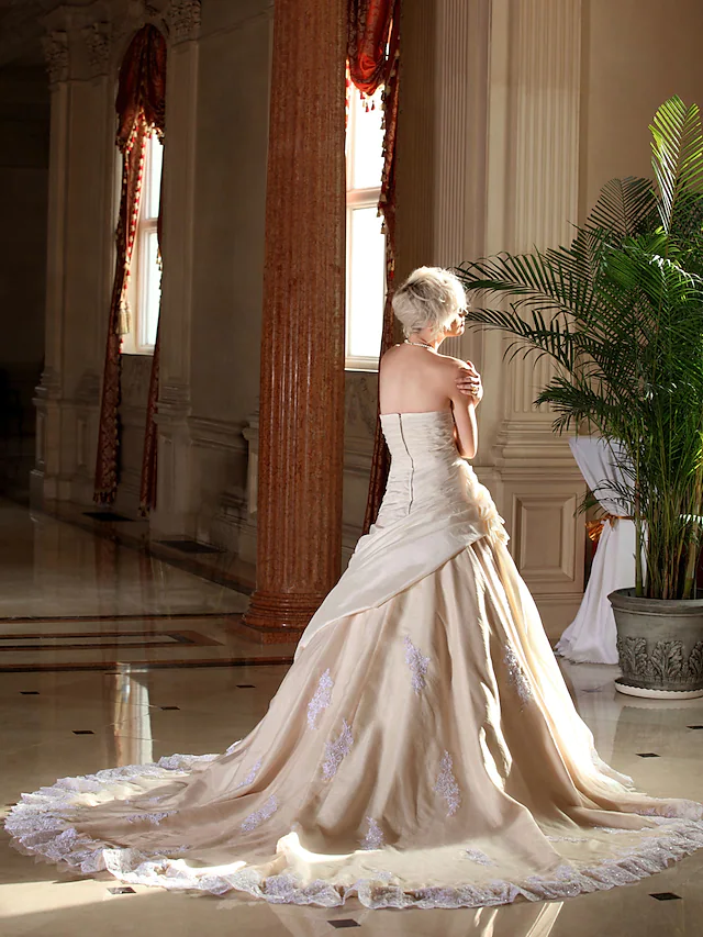 A-Line Wedding Dresses Strapless Cathedral Train Taffeta Beaded Lace Strapless Glamorous Plus Size with Beading Lace Insert