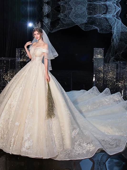 Ball Gown Wedding Dresses Off Shoulder Cathedral Train Tulle Lace Over Satin Sleeveless Formal Elegant with Crystals