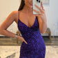 Purple Mermaid Deep V-Neck Sequin Prom Dress With Split Sexy Evening Dresses