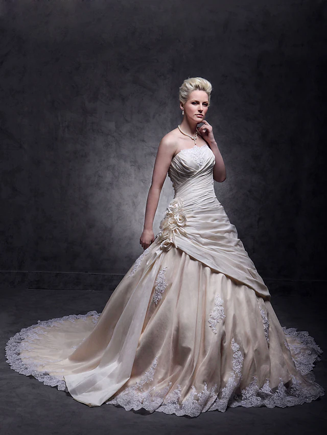 A-Line Wedding Dresses Strapless Cathedral Train Taffeta Beaded Lace Strapless Glamorous Plus Size with Beading Lace Insert