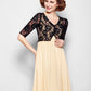 A-Line Mother of the Bride Dress Wrap Included V Neck Floor Length Chiffon Lace Half Sleeve yes