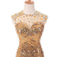 Mermaid / Trumpet Prom Dresses Sparkle Dress Prom Court Train Sleeveless Jewel Neck Sequined