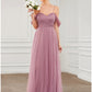 A-Line Prom Dresses Elegant Dress Wedding Guest Floor Length Sleeveless V Neck Tulle