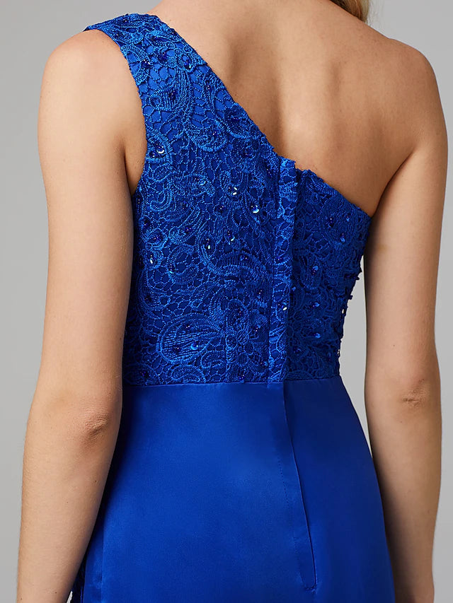 Fit & Flare Elegant Dress Holiday Floor Length Sleeveless One Shoulder Lace Over Tulle